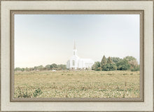 Load image into Gallery viewer, Burley Idaho Immaculate Embrace Blue

