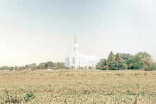 Load image into Gallery viewer, Burley Idaho Immaculate Embrace Blue

