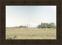 Load image into Gallery viewer, Burley Idaho Immaculate Embrace Blue
