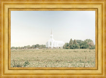 Load image into Gallery viewer, Burley Idaho Immaculate Embrace Blue
