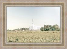 Load image into Gallery viewer, Burley Idaho Immaculate Embrace Blue
