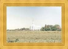 Load image into Gallery viewer, Burley Idaho Immaculate Embrace Blue
