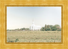 Load image into Gallery viewer, Burley Idaho Immaculate Embrace Blue
