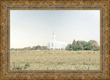 Load image into Gallery viewer, Burley Idaho Immaculate Embrace Blue
