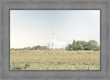 Load image into Gallery viewer, Burley Idaho Immaculate Embrace Blue

