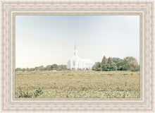 Load image into Gallery viewer, Burley Idaho Immaculate Embrace Blue
