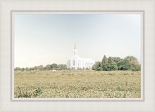 Load image into Gallery viewer, Burley Idaho Immaculate Embrace Blue
