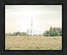 Load image into Gallery viewer, Burley Idaho Immaculate Embrace Pastel
