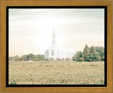 Load image into Gallery viewer, Burley Idaho Immaculate Embrace Pastel
