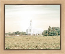 Load image into Gallery viewer, Burley Idaho Immaculate Embrace Pastel

