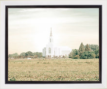 Load image into Gallery viewer, Burley Idaho Immaculate Embrace Pastel

