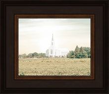 Load image into Gallery viewer, Burley Idaho Immaculate Embrace Pastel

