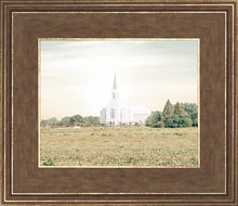 Load image into Gallery viewer, Burley Idaho Immaculate Embrace Pastel

