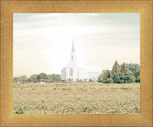 Load image into Gallery viewer, Burley Idaho Immaculate Embrace Pastel
