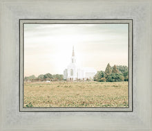 Load image into Gallery viewer, Burley Idaho Immaculate Embrace Pastel
