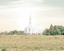 Load image into Gallery viewer, Burley Idaho Immaculate Embrace Pastel
