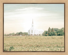 Load image into Gallery viewer, Burley Idaho Immaculate Embrace Pastel
