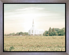 Load image into Gallery viewer, Burley Idaho Immaculate Embrace Pastel
