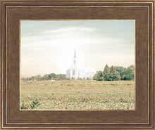 Load image into Gallery viewer, Burley Idaho Immaculate Embrace Pastel
