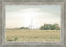 Load image into Gallery viewer, Burley Idaho Immaculate Embrace Pastel
