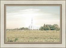 Load image into Gallery viewer, Burley Idaho Immaculate Embrace Pastel
