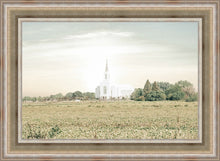 Load image into Gallery viewer, Burley Idaho Immaculate Embrace Pastel
