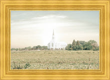 Load image into Gallery viewer, Burley Idaho Immaculate Embrace Pastel
