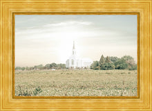 Load image into Gallery viewer, Burley Idaho Immaculate Embrace Pastel
