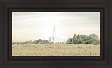 Load image into Gallery viewer, Burley Idaho Immaculate Embrace Pastel
