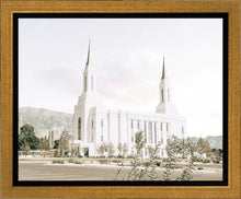 Load image into Gallery viewer, Lindon Utah Eternal View
