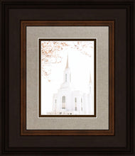 Load image into Gallery viewer, Lindon Utah Celestial View
