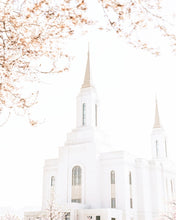 Load image into Gallery viewer, Lindon Utah Celestial View
