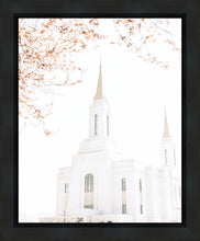 Load image into Gallery viewer, Lindon Utah Celestial View
