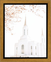 Load image into Gallery viewer, Lindon Utah Celestial View
