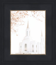 Load image into Gallery viewer, Lindon Utah Celestial View
