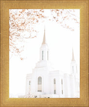 Load image into Gallery viewer, Lindon Utah Celestial View
