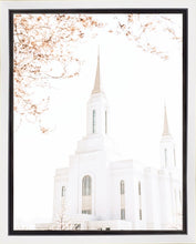 Load image into Gallery viewer, Lindon Utah Celestial View
