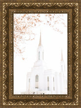 Load image into Gallery viewer, Lindon Utah Celestial View
