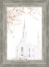 Load image into Gallery viewer, Lindon Utah Celestial View
