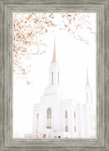 Load image into Gallery viewer, Lindon Utah Celestial View
