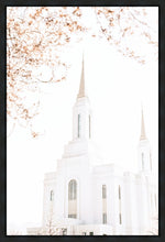 Load image into Gallery viewer, Lindon Utah Celestial View
