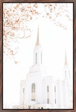 Load image into Gallery viewer, Lindon Utah Celestial View
