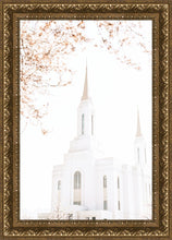 Load image into Gallery viewer, Lindon Utah Celestial View
