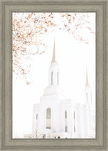 Load image into Gallery viewer, Lindon Utah Celestial View
