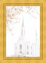 Load image into Gallery viewer, Lindon Utah Celestial View
