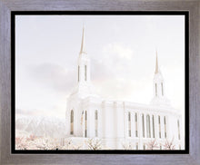 Load image into Gallery viewer, Lindon Utah Immaculate Embrace
