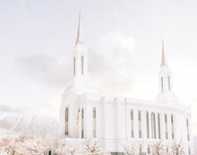 Load image into Gallery viewer, Lindon Utah Immaculate Embrace
