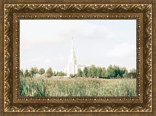 Load image into Gallery viewer, Sweet is The Work Twin Falls Idaho
