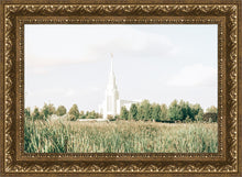Load image into Gallery viewer, Sweet is The Work Twin Falls Idaho
