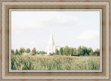 Load image into Gallery viewer, Sweet is The Work Twin Falls Idaho
